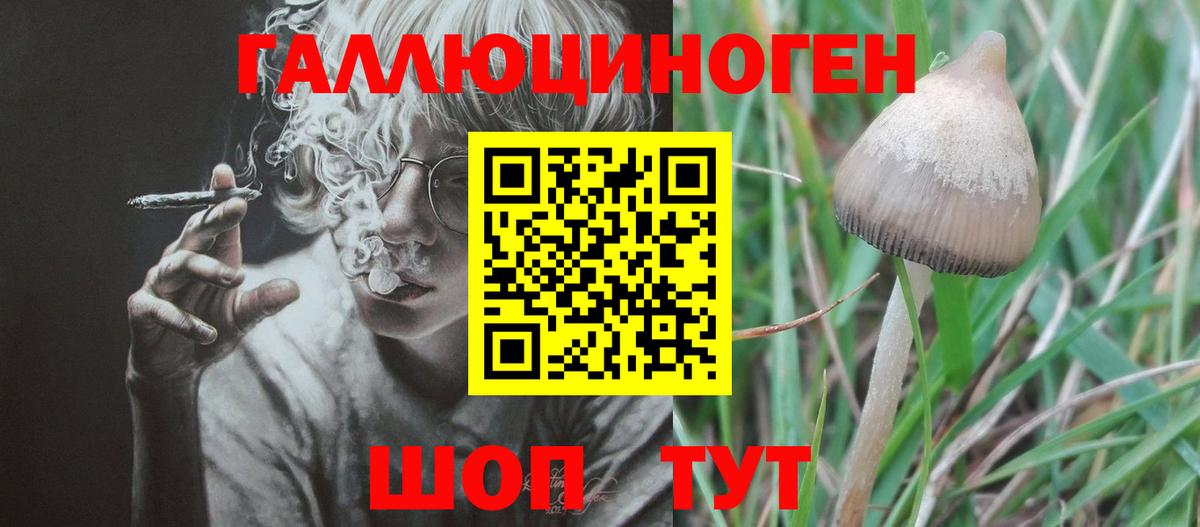 Галлюциногенные грибы Psilocybe Сланцы