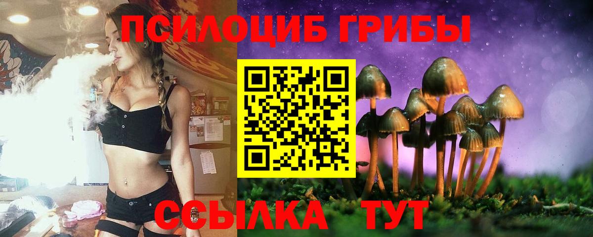 Псилоцибиновые грибы Psilocybine cubensis  Галлюциногенные грибы Cubensis  Сланцы  Вход с VPN 