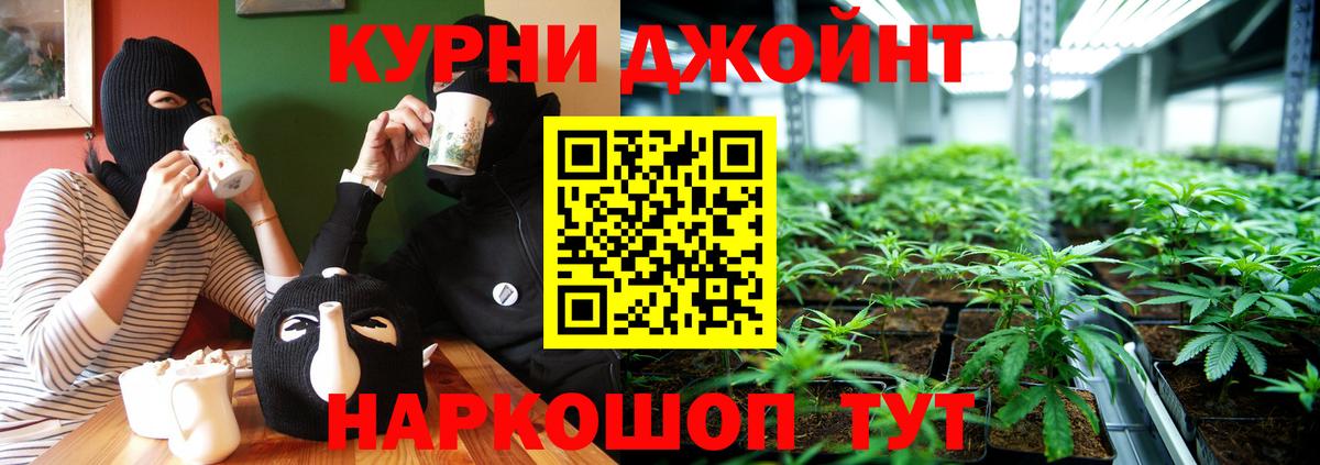 Конопля гибрид Сланцы